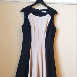 Calvin Klein Black & Tan Fit & Flare Dress…
